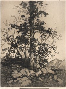  - George Elbert Burr