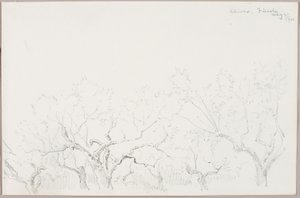 Olives--Fiesole - George Elbert Burr