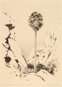 Canyon des Palmiers (no.1) - George Elbert Burr