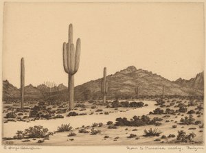 Route vers Paradise Valley, Arizona