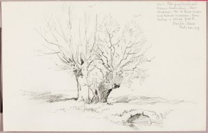 Roche Vaud - George Elbert Burr