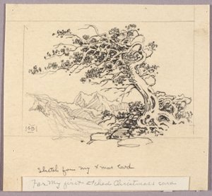 Esquisse pour une carte de Noël (Windswept Pine [no. 1])