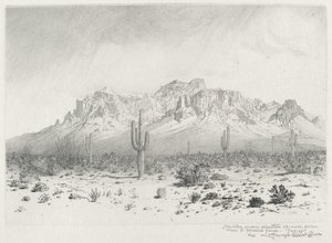 Montagne de la Superstition, Apache Trail, Arizona (n°1)