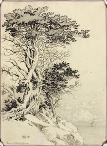 Sans titre (dessin pour impression) - George Elbert Burr
