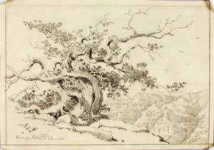 Sans titre (dessin de report pour Soir, Apache Trail, Arizona) - George Elbert Burr