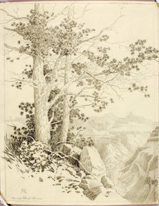 Sans titre (dessin de report pour impression) - George Elbert Burr