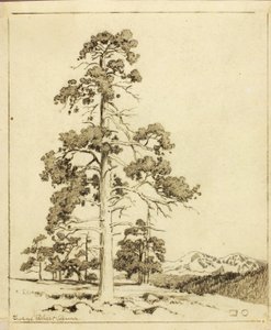 Sans titre (dessin de report pour impression) - George Elbert Burr