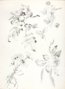 Sans titre - George Elbert Burr
