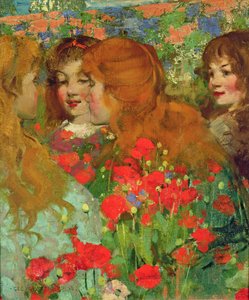 Les coquelicots