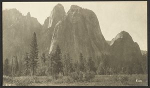 Cathedral Rocks, 2600 pieds