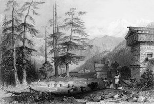 Village de Koghera et forêt de Deodar, près du Choor - George Francis White
