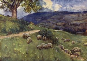 Un Pâturage de Moutons des Cotswolds - George Franck Nicholls