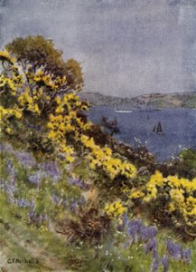 Les rives du Fal, Falmouth - George Franck Nicholls