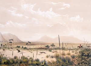 Chasse au kangourou - George French Angas