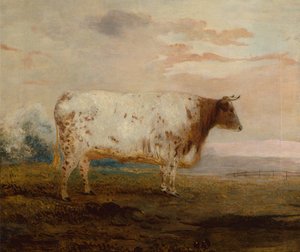 Juno, une vache à cornes courtes rouge dans un paysage étendu - George Garrard