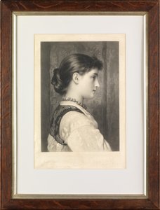 Viola
