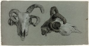 Crânes de béliers - George Hayter