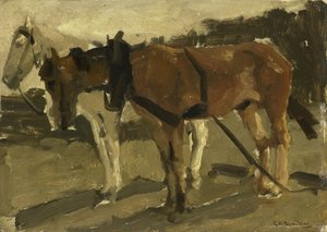 Un cheval brun et un cheval blanc à Scheveningen - George Hendrik Breitner