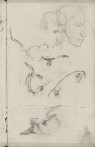 Têtes de chevaux et d