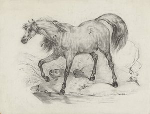 Cheval debout, vers la gauche - George Hendrik Breitner