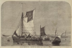 Pêcheries britanniques, n° 7, pêche aux bulots - George Henry Andrews