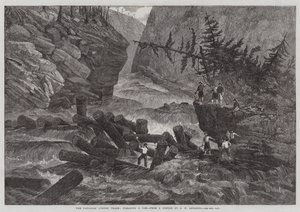 Le commerce du bois canadien, dégagement d