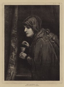 La Coupe Empoisonnée - George Henry Boughton