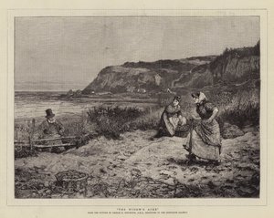 Le champ de la veuve