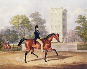Le marquis d