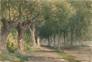 Allée d