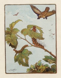 La Chenille