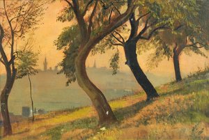 Friedberg en Hesse depuis le Johannisberg Nauheim, 1903 - George Howard