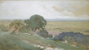 Oliviers à Tivoli