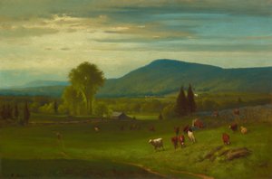 Été dans les Catskills