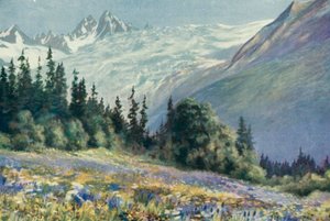 Campanule et autres fleurs de juillet sur le Col des Montets - George Jackson Flemwell