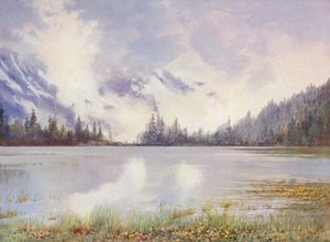 Lac Champex dans les nuages à la fin de mai ; Caltha palustris et Primula farinosa au bord de l