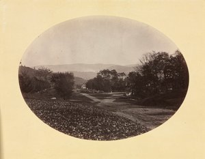 Une route à Williamstown, vers 1870 - George Kendall Warren