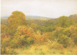 Le jardin de la nature