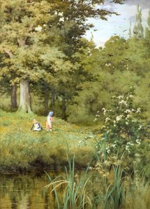 Cueillir des fleurs sauvages - George Marks
