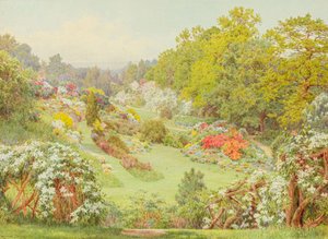 Fleurs de printemps