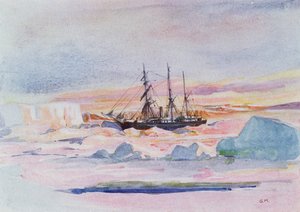 Aurore australe, illustration de 