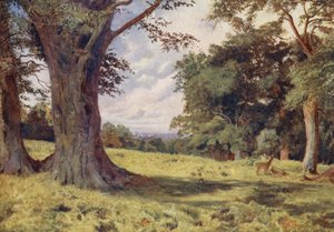 Une clairière dans le parc de Windsor - George Moore Henton