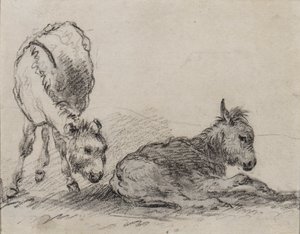 Ânons