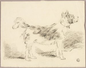 Chien de berger - George Morland