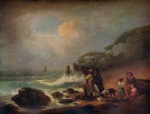 Tir sur les oiseaux de mer