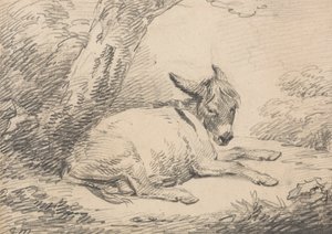 Étude d