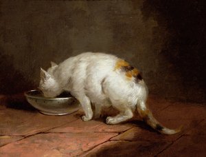 Le chat de l