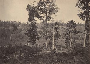 Champ de bataille de Resacca, Géorgie No. 2, années 1860 - George N. Barnard