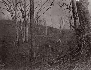 Bull Run, Virginie, 1861-62 - George N. Barnard