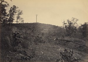 Montagne des pins - George N. Barnard